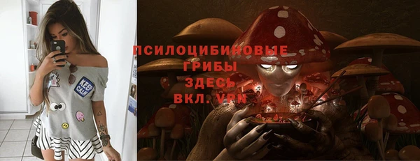 PSILOCYBIN Слюдянка