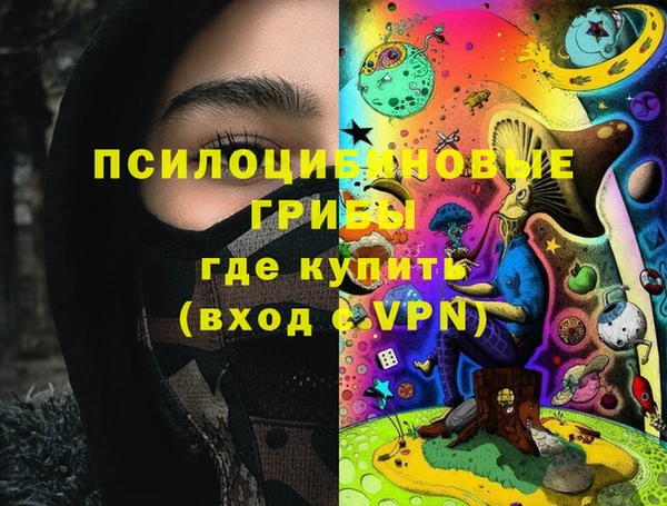 мяу мяу мука Белокуриха